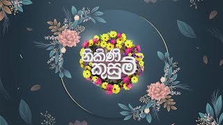 Nikini Kusum නිකිණි කුසුම්Teledrama Theme Music [upl. by Fondea854]