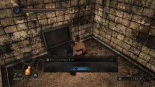 Dark Souls 2 Brume Tower Secret Destructible Wall 8x Petrified Dragon Bone [upl. by Sclater]