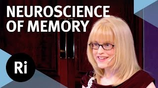 The Neuroscience of Memory  Eleanor Maguire [upl. by Magen]