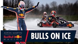 Bulls On Ice  Max Verstappen and Pierre Gasly Go Karting On Ice [upl. by Rafaelle]