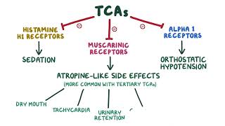 Tricyclic Antidepressants pharmacology 🔥OSMOSISFull mechanism side effects selflessmedicose [upl. by Nonahs457]