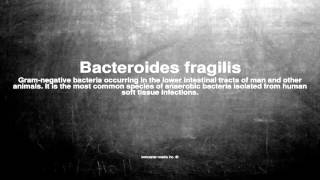 Medical vocabulary What does Bacteroides fragilis mean [upl. by Musette]