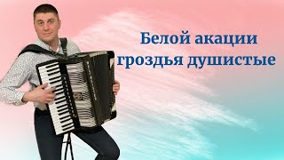 Романс quotБелой акации гроздья душистыеquot Кавер на аккордеоне White acacia caver on accordion [upl. by Crispen]