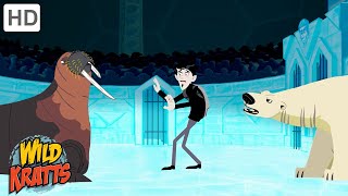 Winter Adventures Part 6  Happy Holidays  Wild Kratts [upl. by Cioffred]