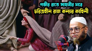 যুবক সাহাবী ও বিশ্ব সুন্দরীর কাহিনী  nasir uddin Ansari new waz  নাসির উদ্দিন আনসারী  amintv24 [upl. by Olegnaleahcim]