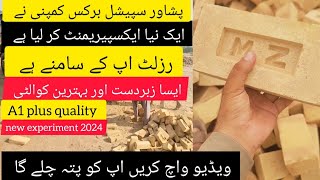 Peshawar Super Brakes pricebuilding material BusinessPR1brickskpk bricks A1 Plus Quality [upl. by Kenley]