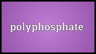 Polyphosphate Meaning [upl. by Yendroc]