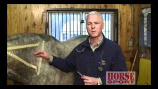 Equine Intramuscular Injections [upl. by Girish]