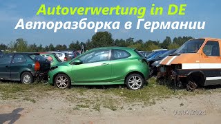 Авторазборка в Германии Autoverwertung [upl. by Lezley]