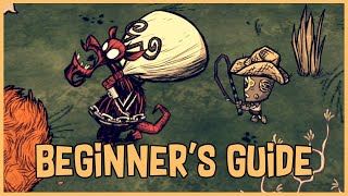 Don’t Starve Together Beginner’s Guide Automation amp Creature Farming [upl. by Ahsaenat827]