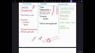 شرح مدخل الطفيليات Medical parasitology 1Nematodes 2cestodes 3Trematodes المحاضرة الأولى [upl. by Wash851]