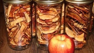 Dehydrated Apple Chips Better Than Store Bought [upl. by Michey193]