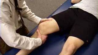 Knee Exam Lachman Test [upl. by Aiynat854]