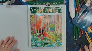 Color amp Chat  January 30 2024  Woodland Wildlife by Marty Noble [upl. by Reave614]