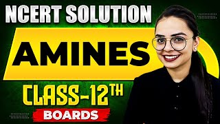 AMINES  NCERT Solutions  Chemistry Chapter 10  Class 12th Boards [upl. by Eneladgam]