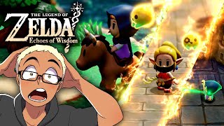 NEW Zelda Echoes of Wisdom Trailer True Open World 2D Zelda [upl. by Naol491]