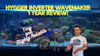 Hygger Aquarium Inverter Wavemaker Pump HG042 1 Year Review [upl. by Hanleigh]