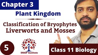 Chapter 3  Plant Kingdom  Bryophytes  Liverworts  Mosses  Class 11 CBSE RBSE NCERT Part5 [upl. by Bernetta983]