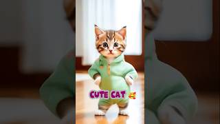 Cute Cat Dance🥰🐾🍓shorts cat catvideos catlover [upl. by Corly290]