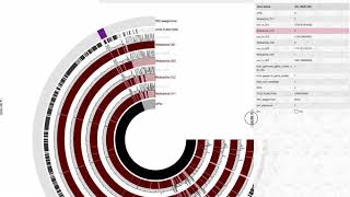 Wolbachia Pangenome in anvio by Reveillaud et al [upl. by Ailati598]