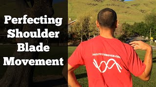 Shoulder Rotator Cuff Exercises 2  Shoulder Blade Exercises [upl. by Golightly125]