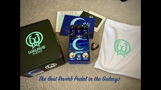 Walrus Audio Slo demo the best reverb pedal in the galaxy [upl. by Garold]