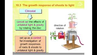 5090 CHAPTER 15 SYLLABUS 2023 COORDINATION IN PLANTS [upl. by Yeldnarb]