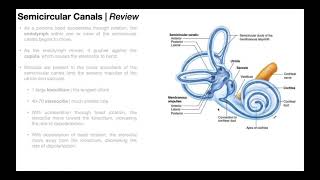 Benign Paroxysmal Positional Vertigo BPPV  Overview [upl. by Merna773]