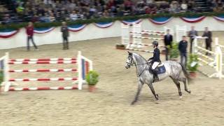 Holsteiner Premium Stallion Clarcon [upl. by Esile]