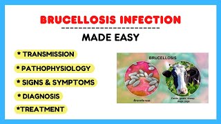 Brucella infection Brucellosis pathophysiology symptoms treatment microbiology made easy [upl. by Eneleuqcaj]