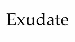 How to Pronounce Exudate [upl. by Ettennek290]