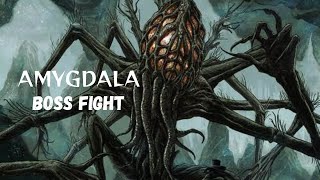 Bloodborne  The Hunter VS Amygdala Boss Fight [upl. by Crissie]