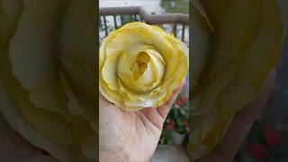 Tissue paper Flower 🌹shortvideo diy video art viralvideo [upl. by Vanessa983]