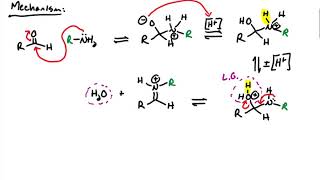 Nitrogen Nucleophiles Imines and Enamines [upl. by Aissert17]