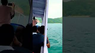 Dolphin watching trip in Om beachtravel trandingbeachegaadventures tourism shortvideo shorts [upl. by Ahsiekan686]