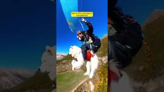 Brave Dog Paraglides with Owner — Adorable Adventure in the Sky 🐶🪂💨 [upl. by Anoyet]