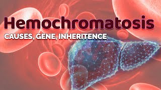 Hemochromatosis  Cause Gene amp Inheritance  HFE gene  Iron storage in Liver  Transferrin [upl. by Parke52]