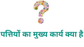 पत्तियों का मुख्य कार्य क्या है  patiyon ka mukhya karya kya hai  biology gk question in hindi [upl. by Valaree]