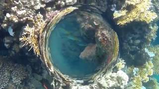 Snorkeling Brayka Bay Marsa Alam Ägypten Mai 2018 [upl. by Llennehc]