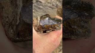 Releasing a big seam agate rockhounding arizona [upl. by Nnyliak526]