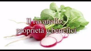 ravanello proprietà e benefici [upl. by Gainor78]