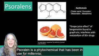 Plant Secondary Metabolites Phenolics [upl. by Hake]