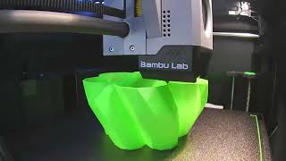 Watch the Bambu Lab P1S 3D print a Organic Desk Bin Timelapse [upl. by Ushijima]