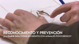 Reconocimiento y prevención ¿la clave para evitar accidentes con animales ponzoñosos [upl. by Trawets]