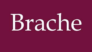 How to Pronounce Brache Fallow Correctly in German [upl. by Strickland]