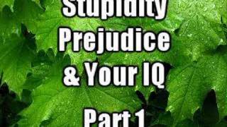 Stupid Prejudice amp your IQ  PART 1 [upl. by Ahteres]