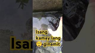 Dahan dahan lang para Hindi makawalathailand fishing viralshorts [upl. by Hsitirb]