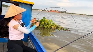 Không Ngờ Đụng Bầy Cá Tra Sông ĐỒNG NAI Kéo Đã Tay  Fishing on Dong Nai River [upl. by Anovad]