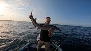 KILCUNDA OFFSHORE GUMMY SHARK FISHING  BROKEN GOPROS [upl. by Norita]