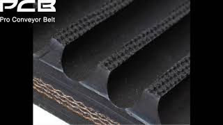 Horizontal Vacuum Filter Belt with Curbs [upl. by Lleuqar]